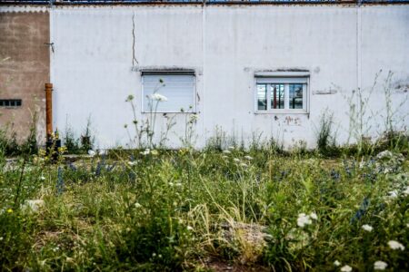 Architecture photo wall and plants ©ceciliagalli